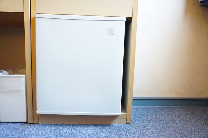 Mini-refrigerator