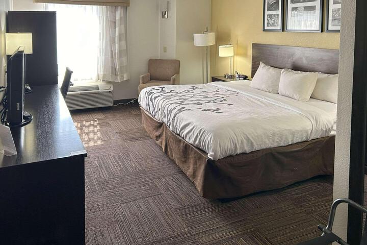 1 King Bed (20 of 21)