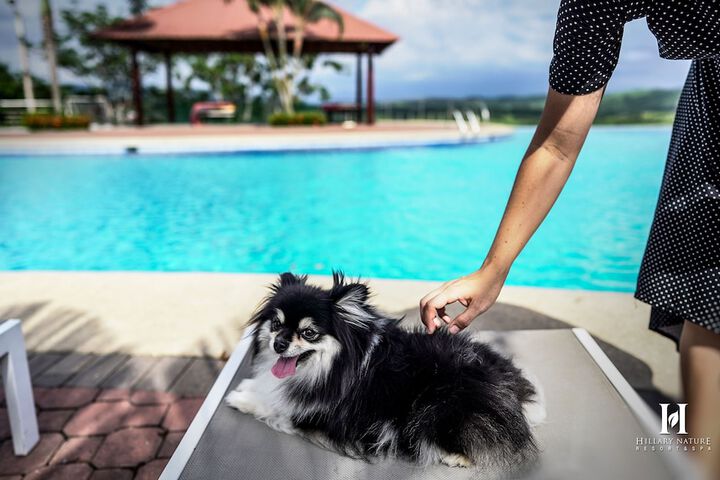 Pet Friendly 95 of 133