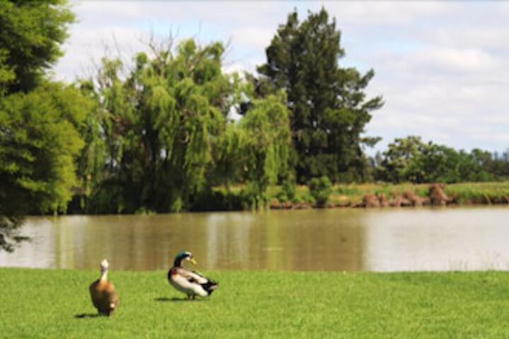 Property Grounds 2 of 5