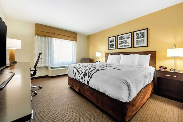 1 King Bed Accessible (16 of 18)
