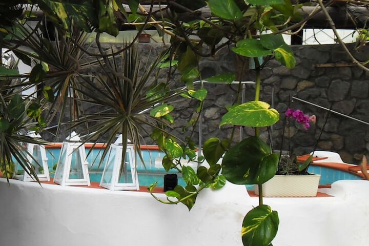 Pool 196 of 246