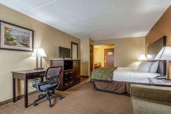 1 King Bed (11 of 11)