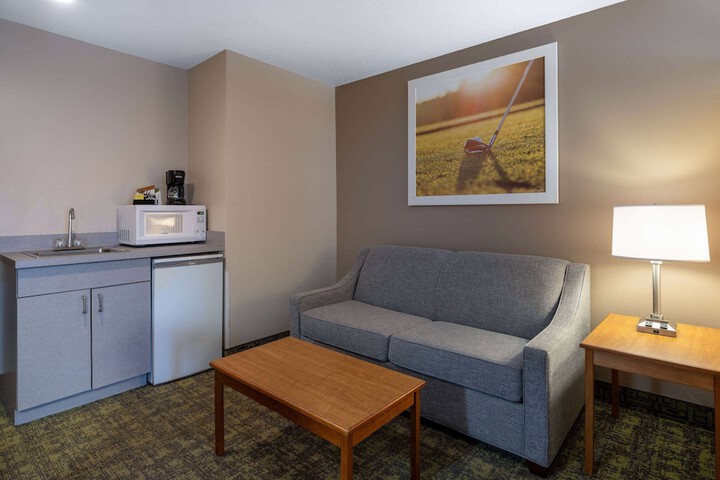 1 King Bed 1 Bedroom Suite (4 of 11)