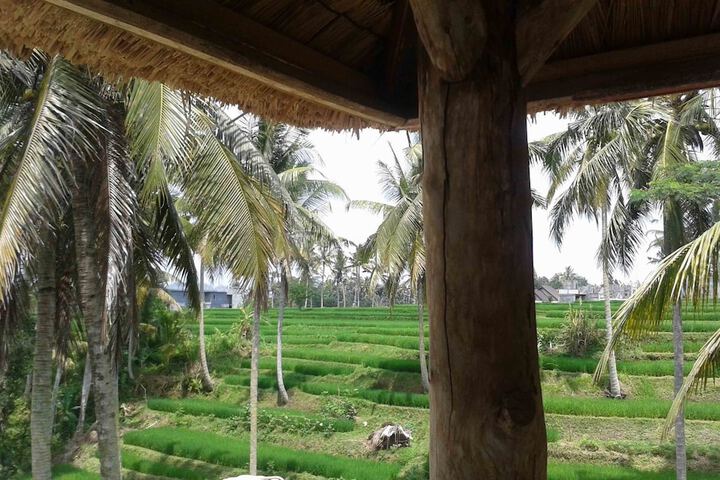 Hotel View 126 of 129