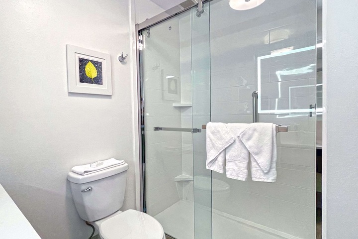 Bathroom shower