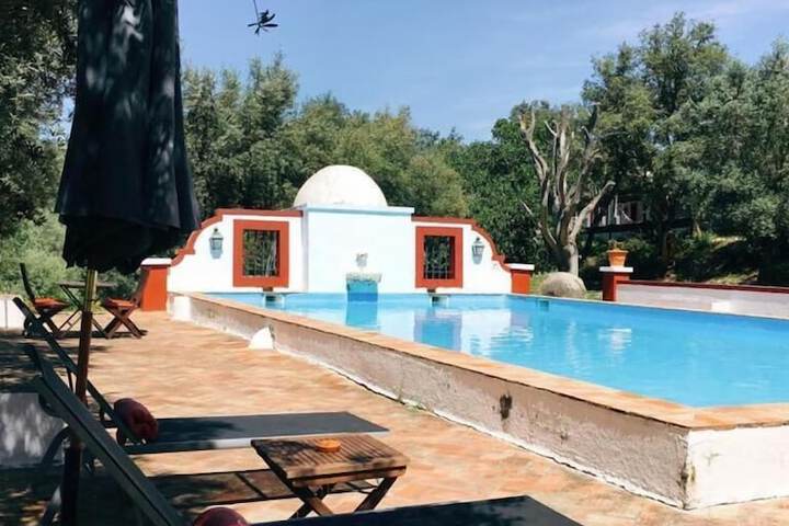 Pool 43 of 63