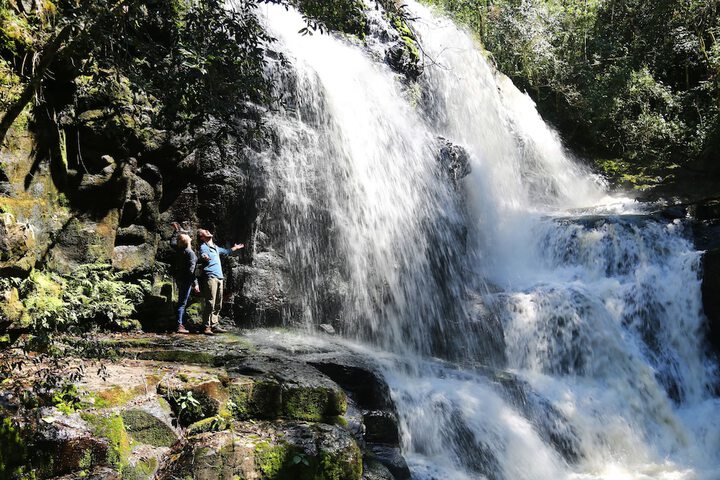 Hiking