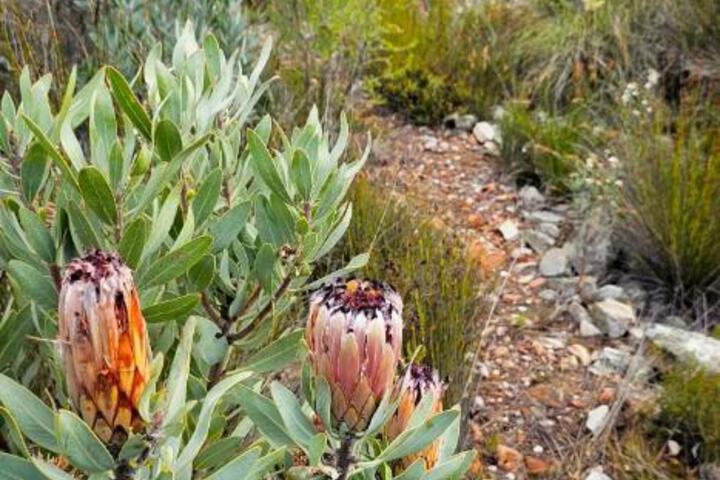 General 2 of 38