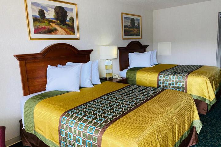 1 King Bed