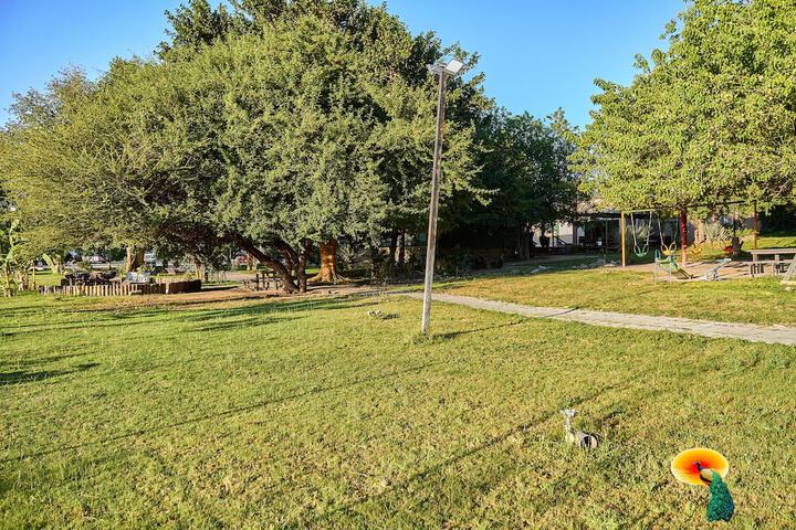 Property Grounds 11 of 15