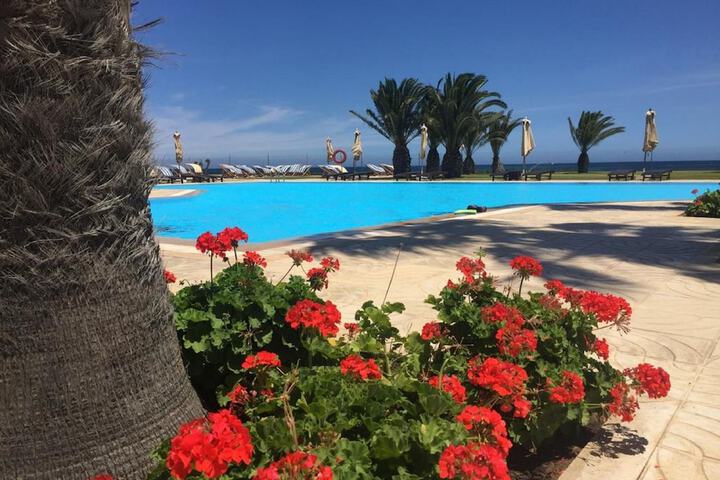 Hotel Pool
