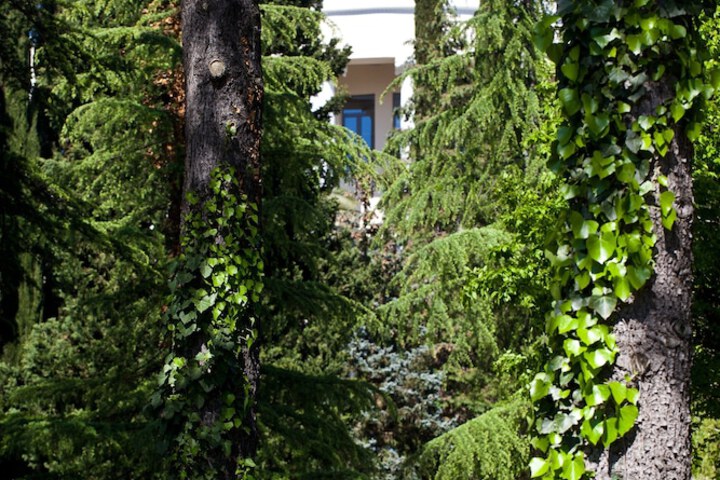 Property Grounds 109 of 141