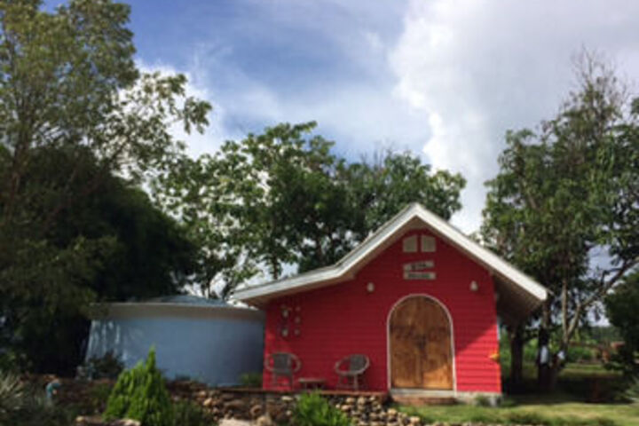 Dog House Pai