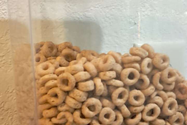 Breakfast/Coffee Service 73 of 93