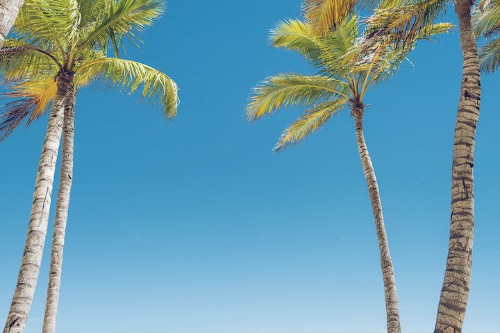 Beach 144 of 161