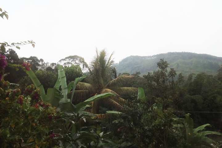 Hotel View 8 of 49