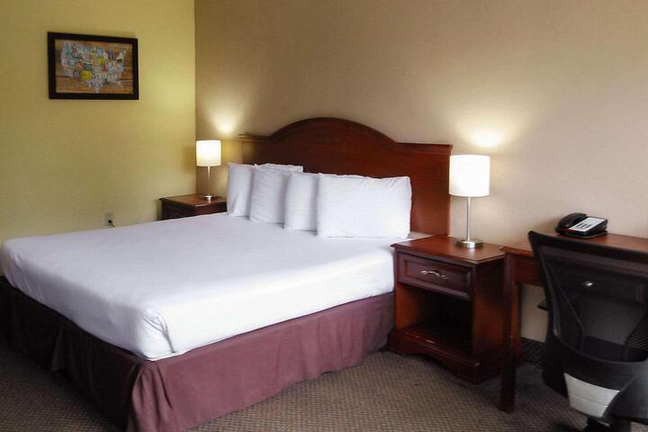 1 King Bed (6 of 8)