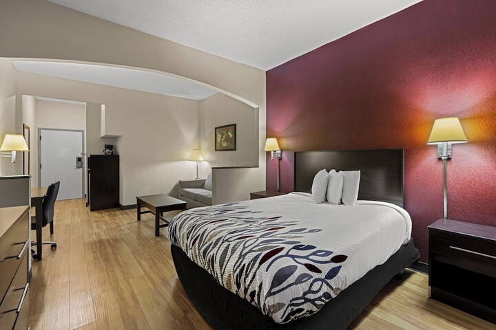 ADA Accessible Suite Queen Bed (9 of 17)