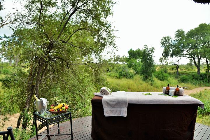 Wellness Treatments