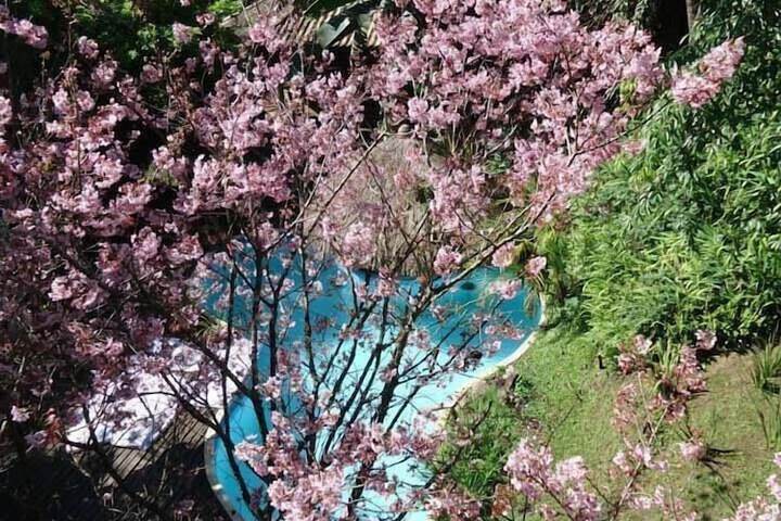 Pool 18 of 54