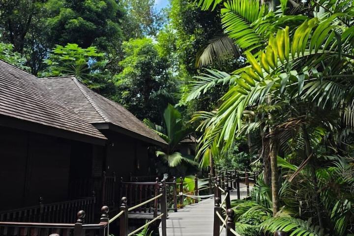 Spa Massage