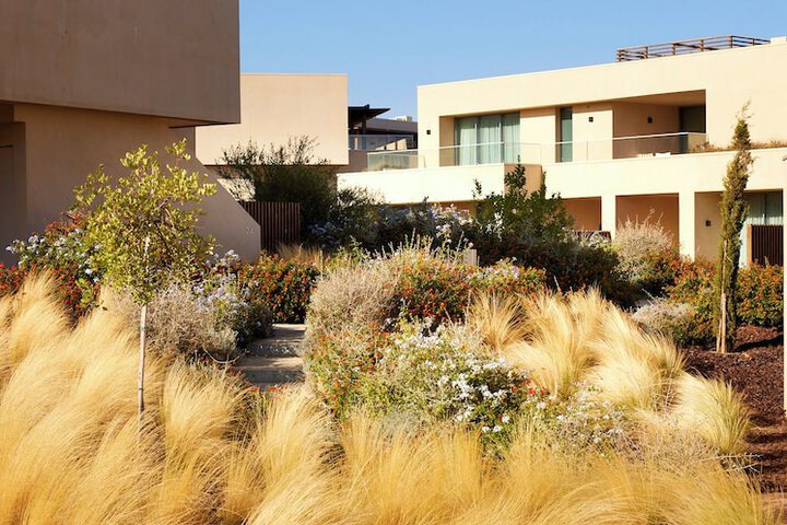 Hotel 50 of 55