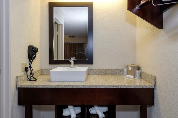 ADA Accessible Deluxe King with Roll in Shower (5 of 19)