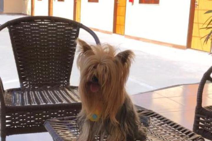 Photo 4