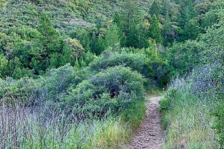 Hiking