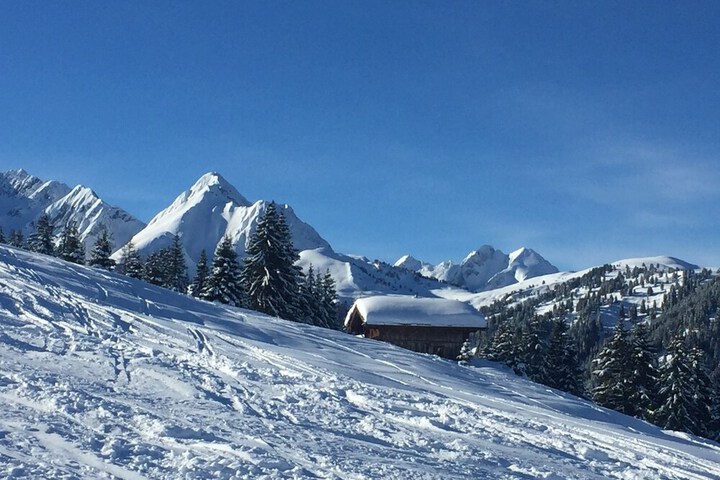 Skiing