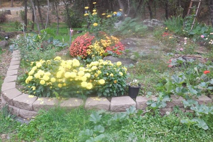 Hotel Exterior 29 of 40