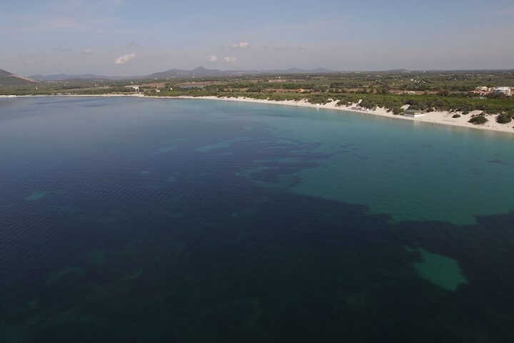 Beach 84 of 95