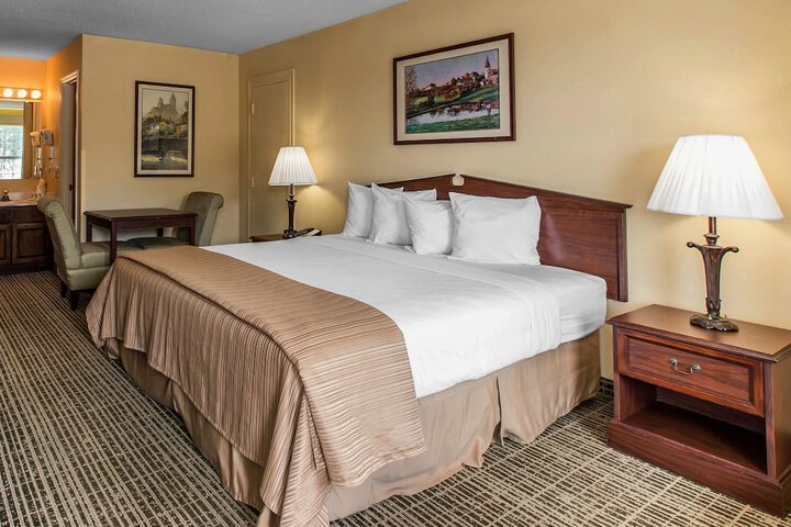 1 King Bed (5 of 8)