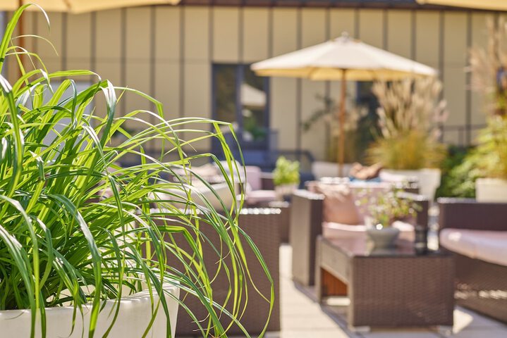 Terrace/Patio 33 of 33