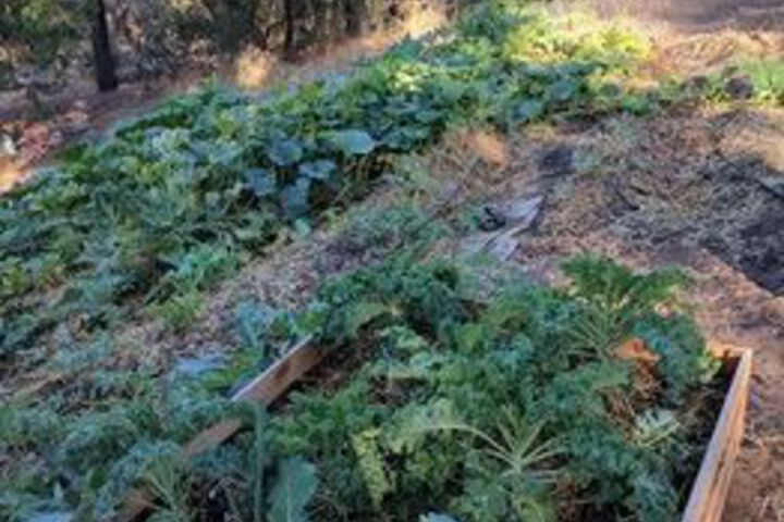 Hotel Exterior 21 of 75