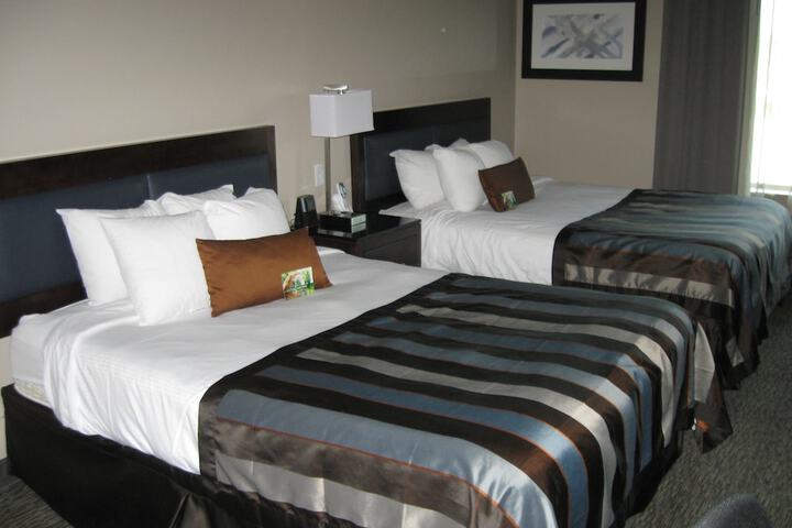 2 Double Beds (2 of 3)