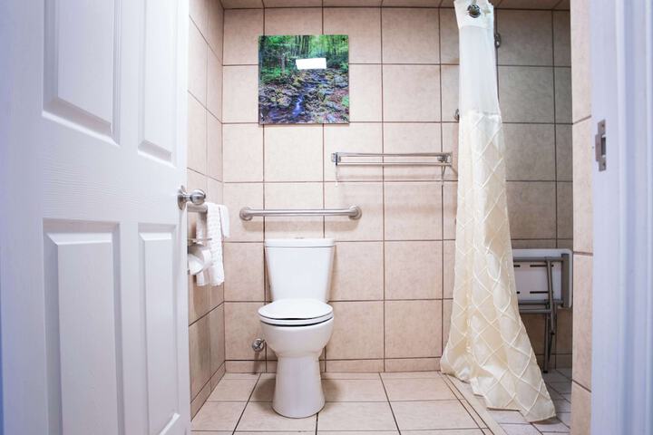 1 King Bed Theme Room Work Desk Coffee Maker Iron and Ironing Board Walk in Shower (9 of 9)