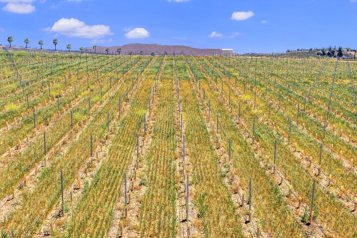 Winery
