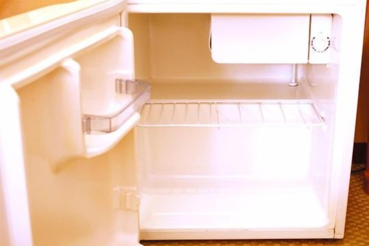 Mini-refrigerator