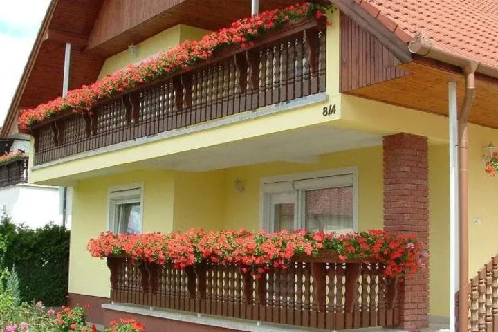 ZSUZSI VENDEGHAZ