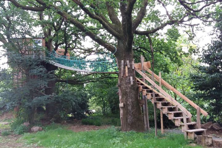 Cabane Dans Les Arbres - Le Nid Dans Le Chêne