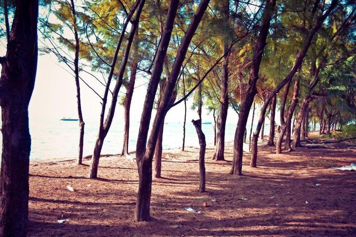 Beach 40 of 54