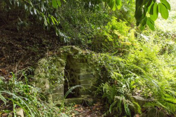 Property Grounds 19 of 22