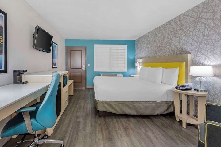 1 King Bed (7 of 13)