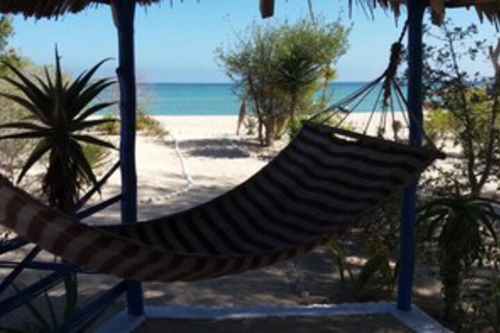 Beach 13 of 65