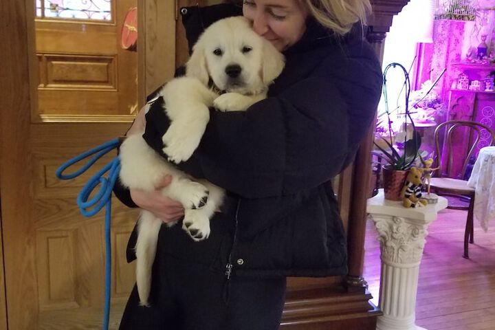 Pet Friendly 51 of 95