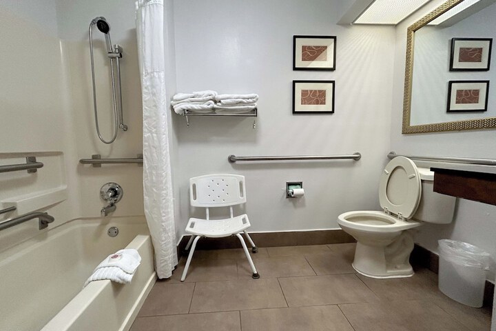 1 King Bed Suite (5 of 10)