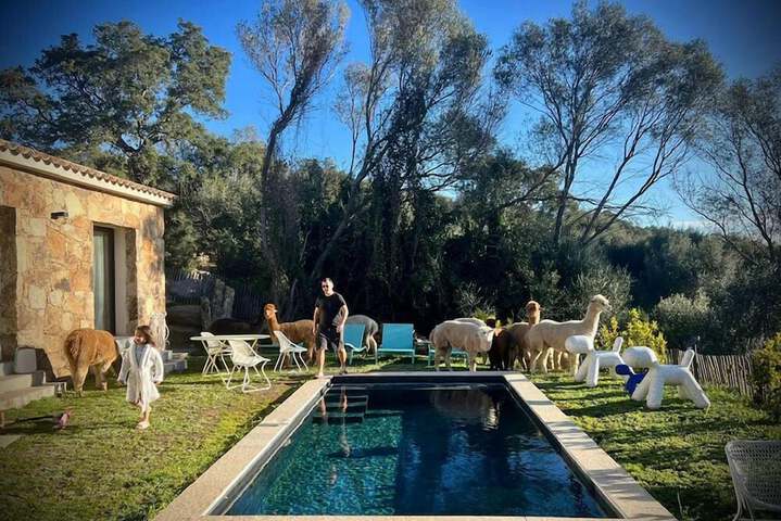 Pool 101 of 113