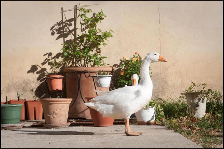 Hotel Spa